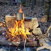 Review photo of Michaux State Forest by John S., October 28, 2020