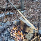 Review photo of Michaux State Forest by John S., October 28, 2020