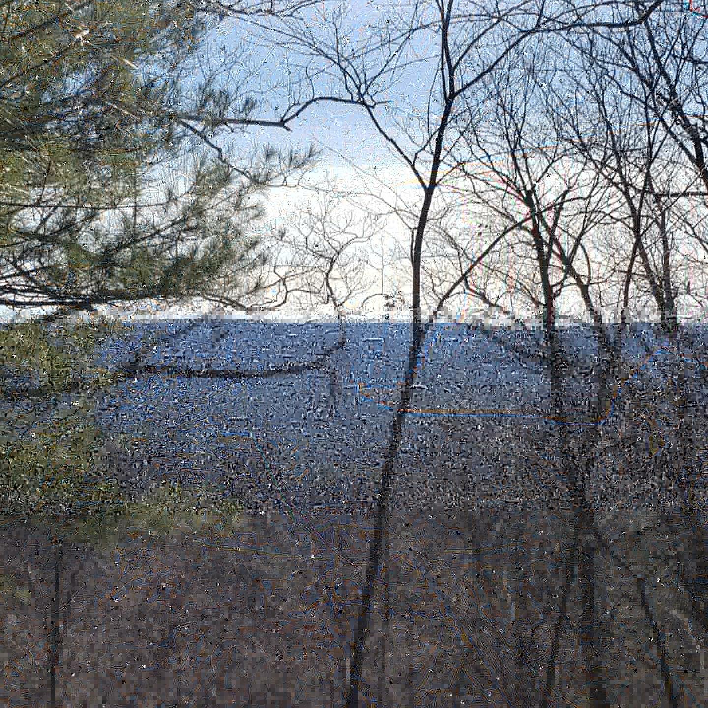 Camper submitted image from Michaux State Forest - 1