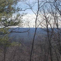 Michaux State Forest