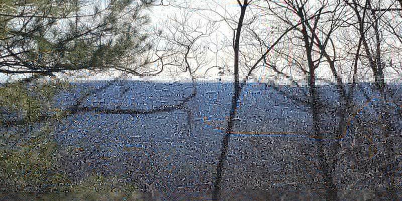 Camper submitted image from Michaux State Forest