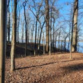 Review photo of Cane Creek State Park Campground by Steve S., September 20, 2020