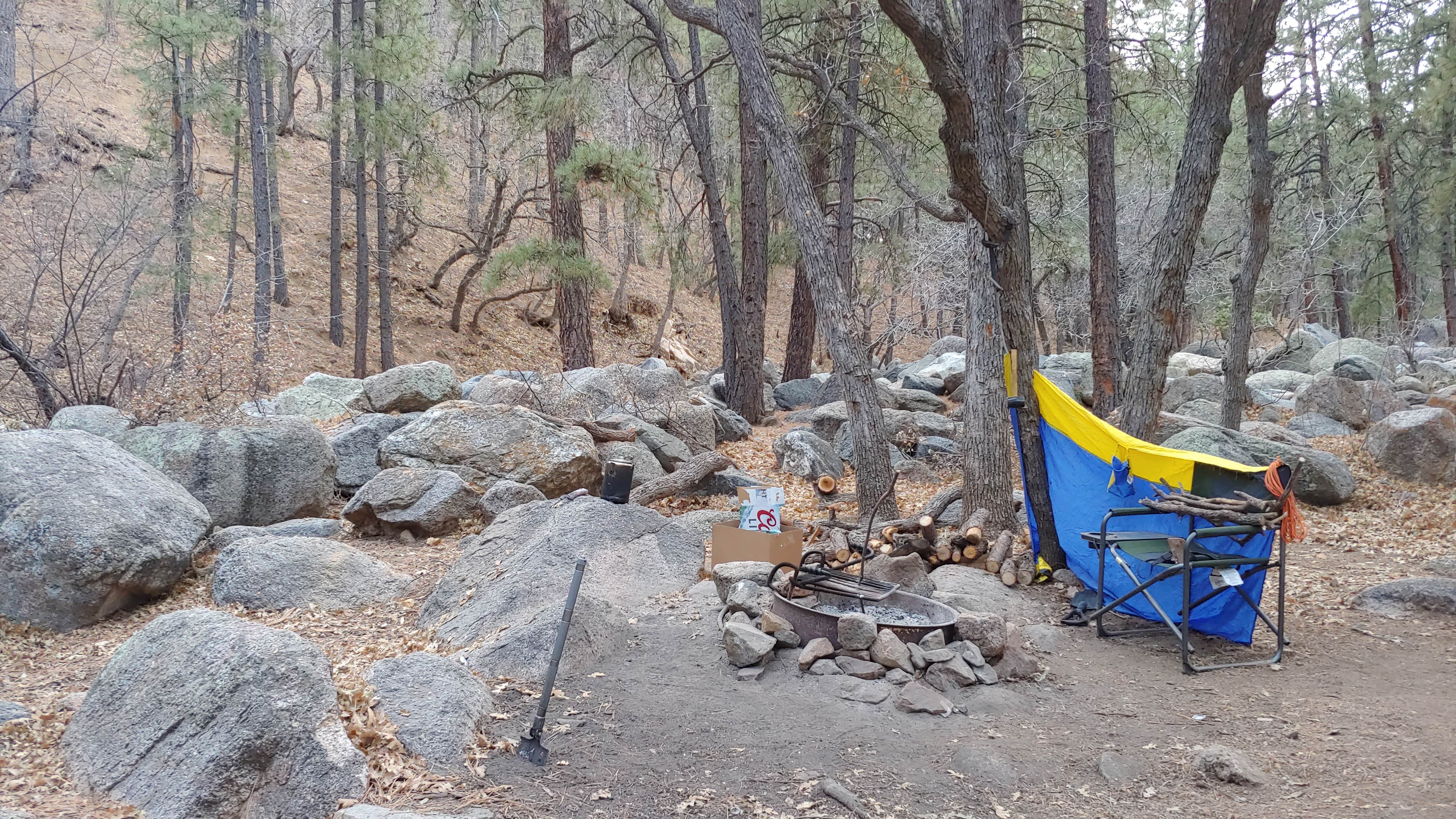 Lyle F.'s photo at BLM Wild Cow Springs Recreation Area near Oatman, AZ
