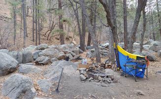 Lyle F.'s photo at BLM Wild Cow Springs Recreation Area in Arizona