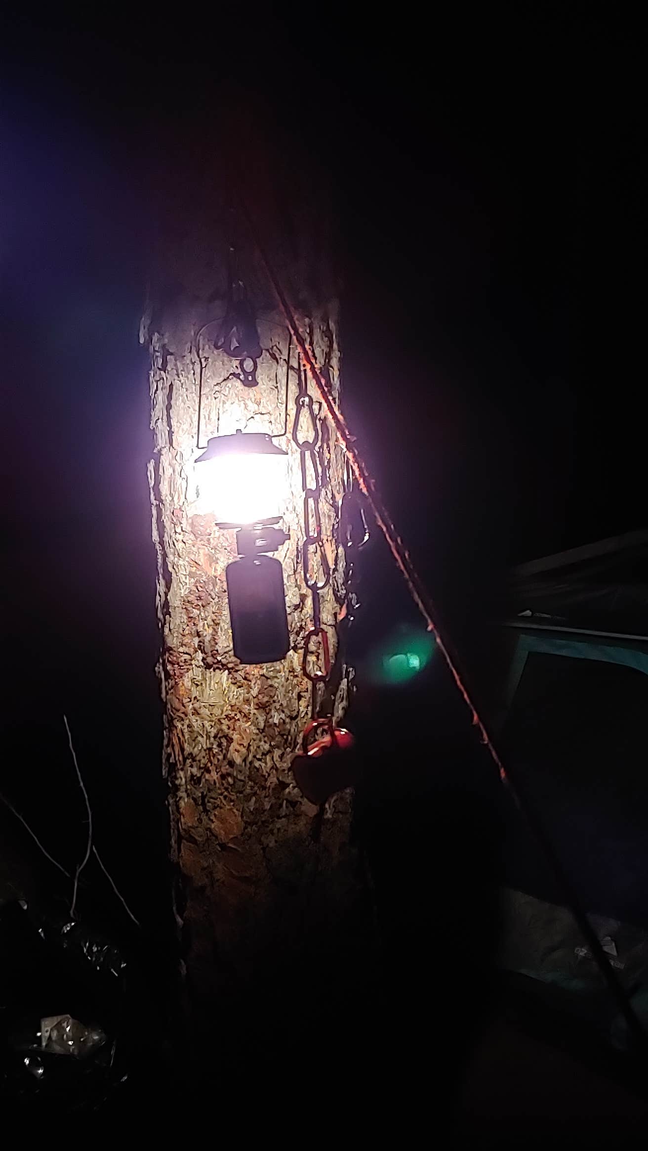 BLM Wild Cow Springs Recreation Area