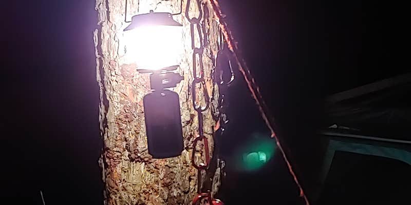 Camper submitted image from BLM Wild Cow Springs Recreation Area