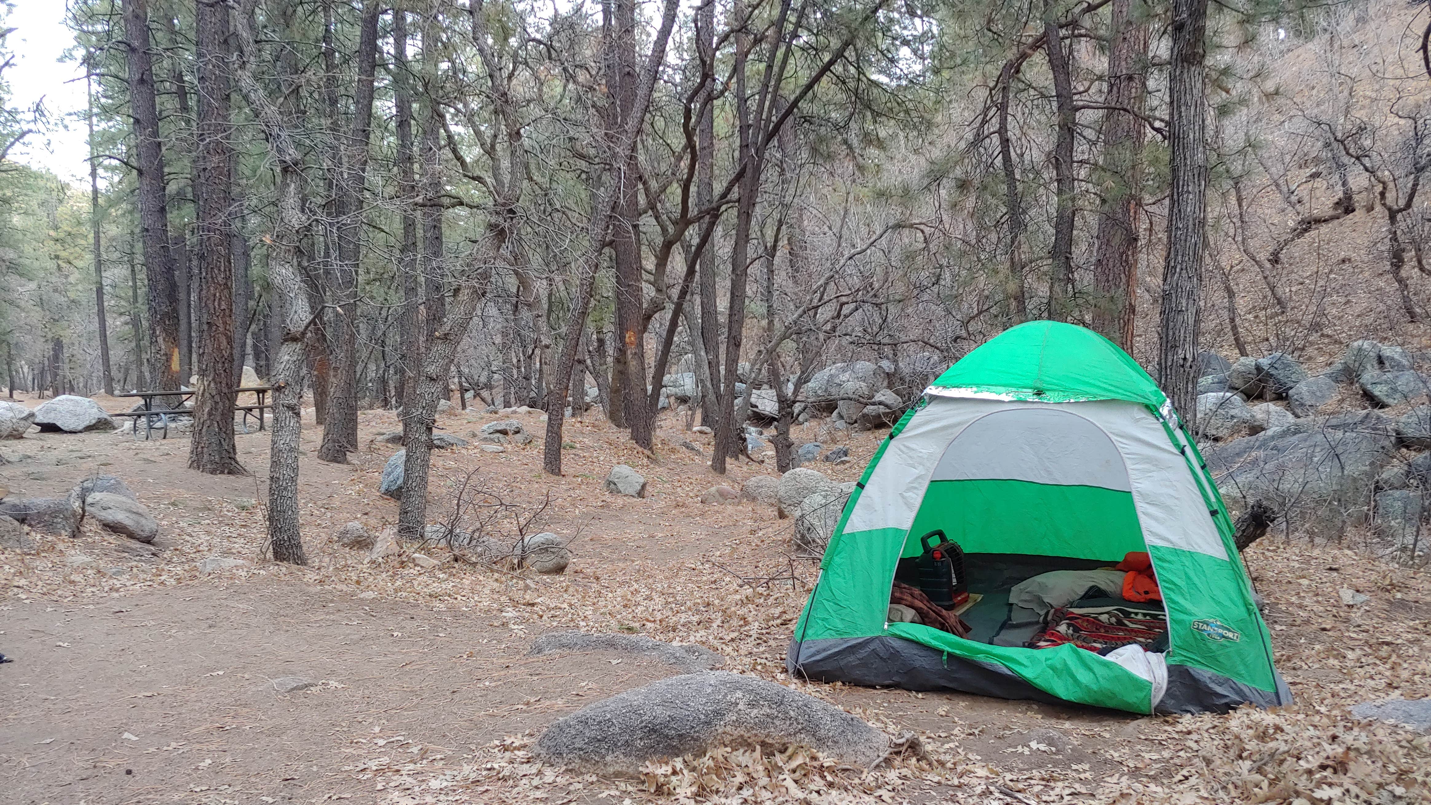 Lyle F.'s photo of tent camping at BLM Wild Cow Springs Recreation Area near Kingman, AZ