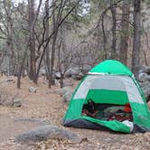 Review photo of BLM Wild Cow Springs Recreation Area by Lyle F., February 3, 2021