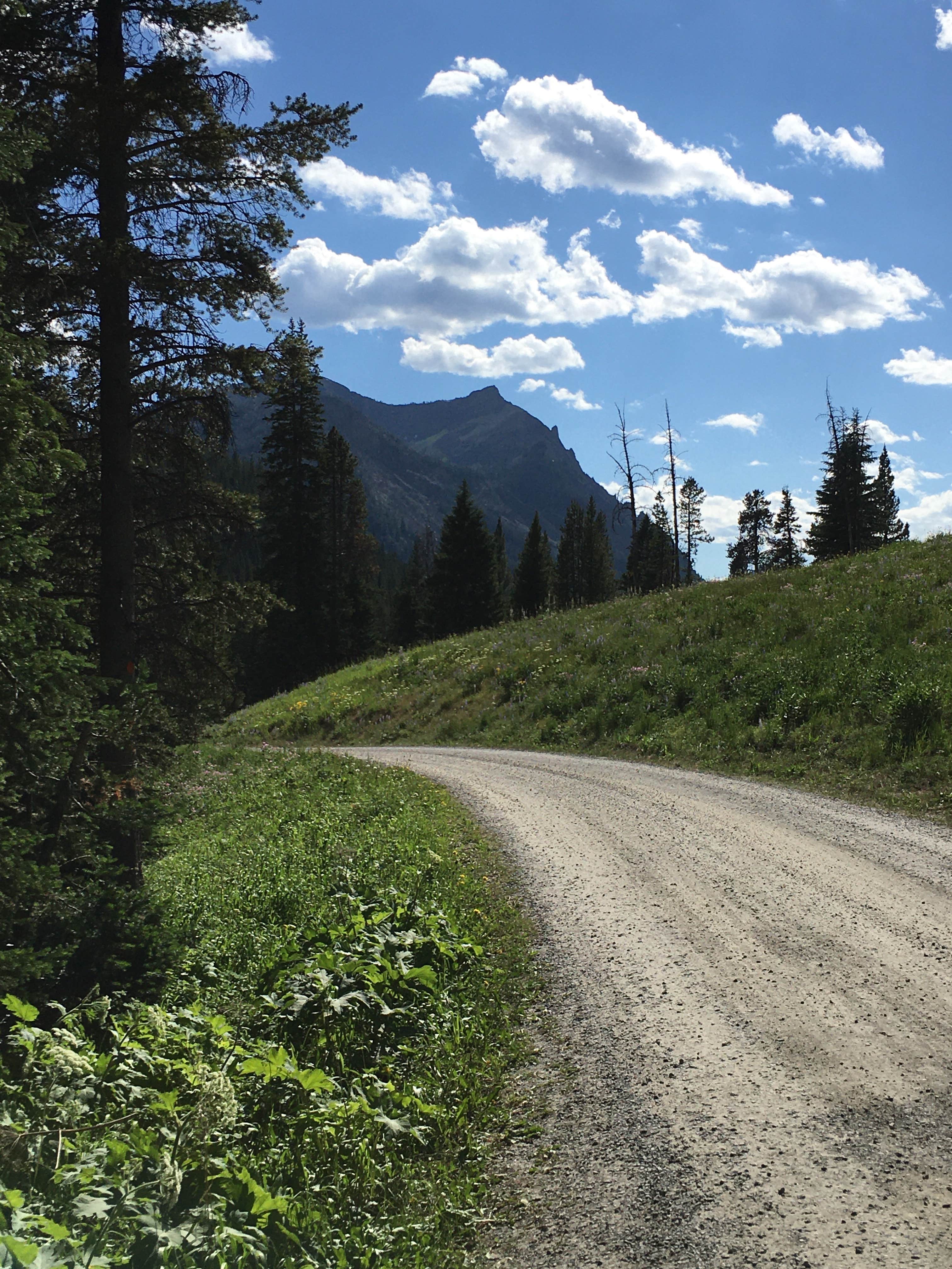 Camper submitted image from Soda Butte Campground - 1