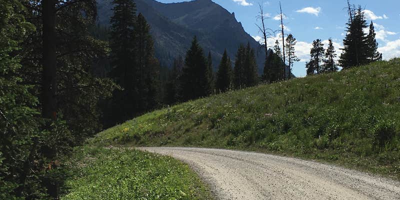 Camper submitted image from Soda Butte Campground