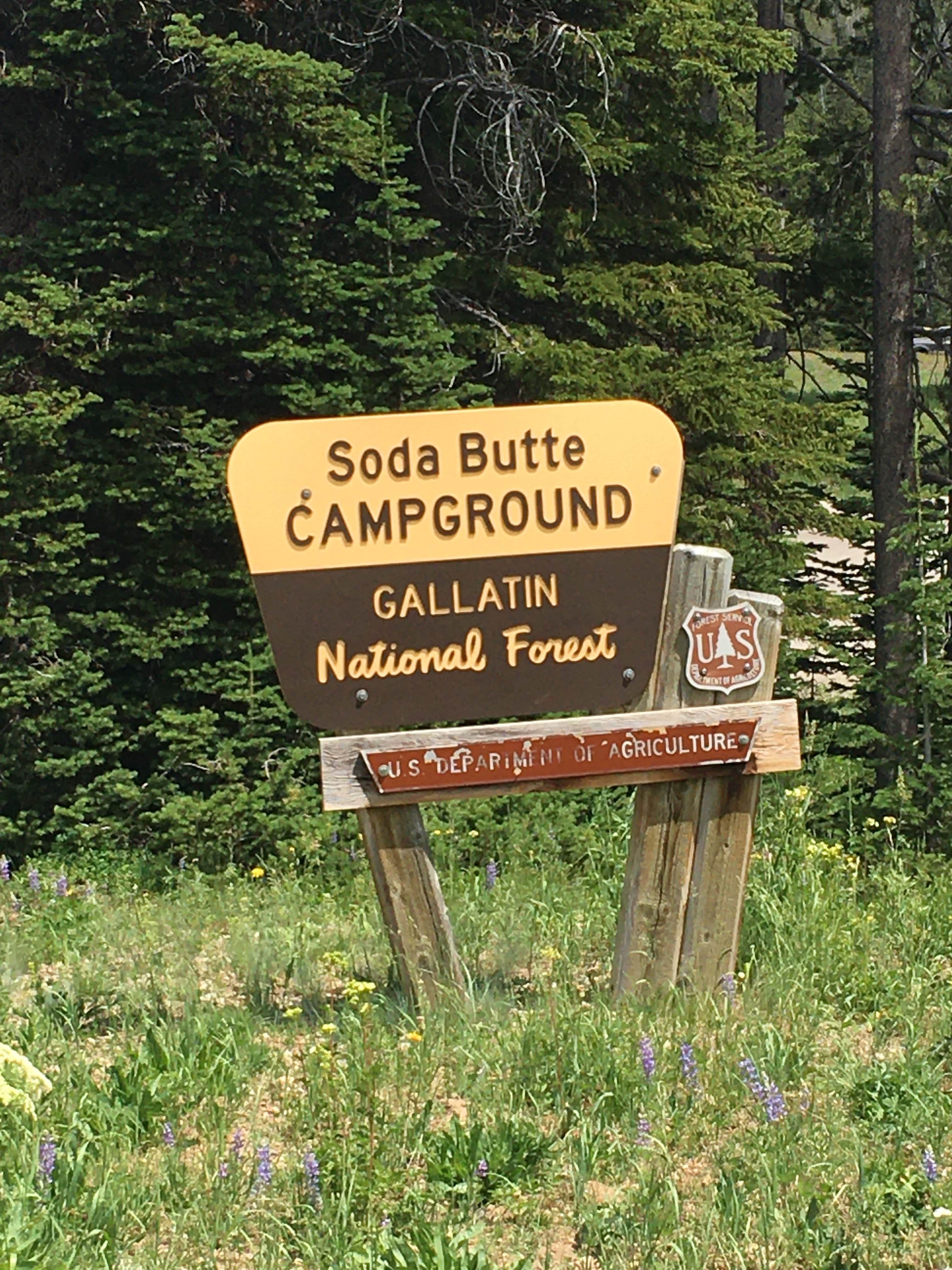 Camper-submitted photo at Soda Butte Campground near Cooke City, MT