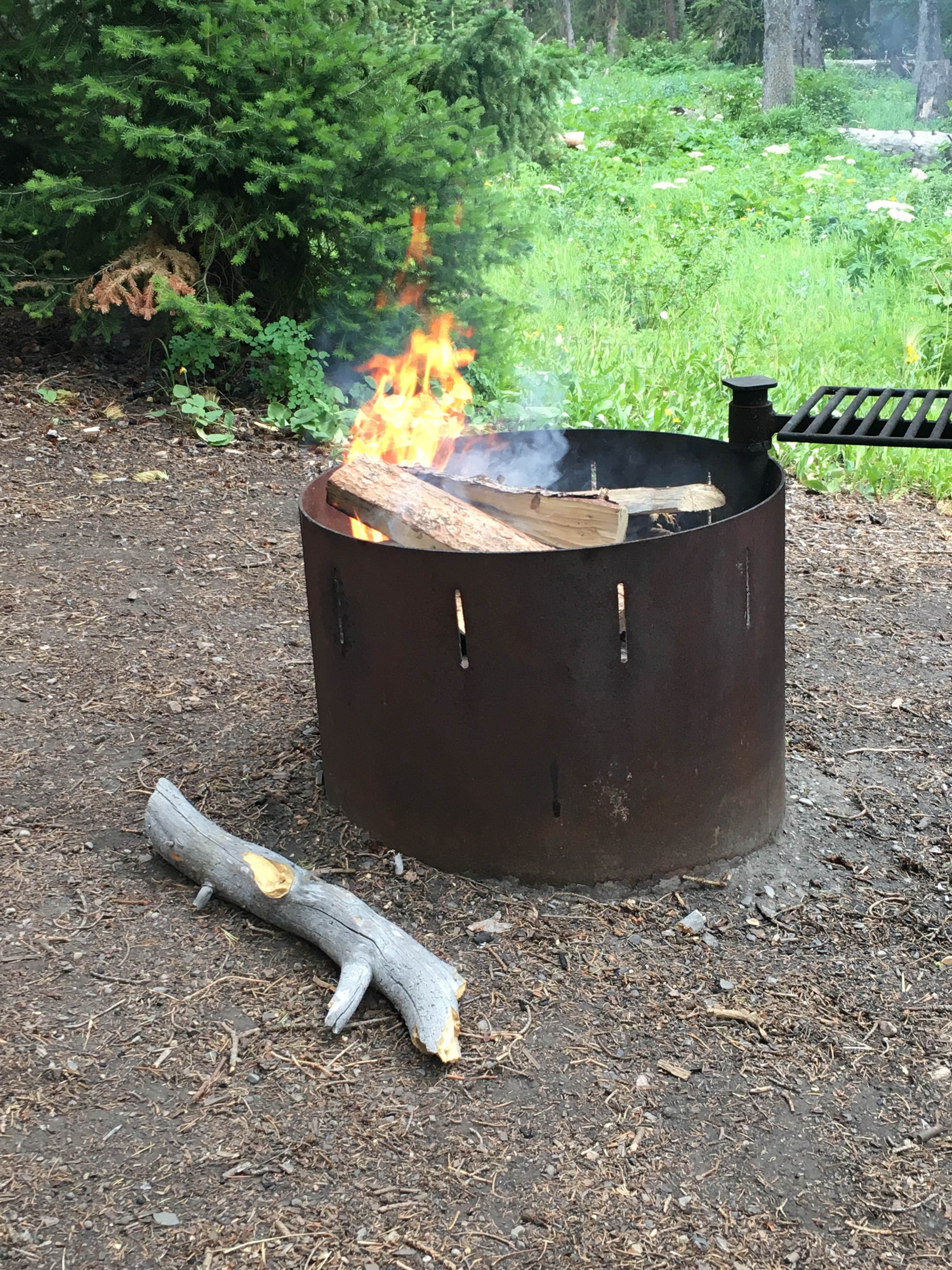 Camper-submitted photo at Soda Butte Campground near Cooke City, MT