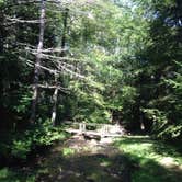 Review photo of Otter River State Forest by Rachel P., May 28, 2018