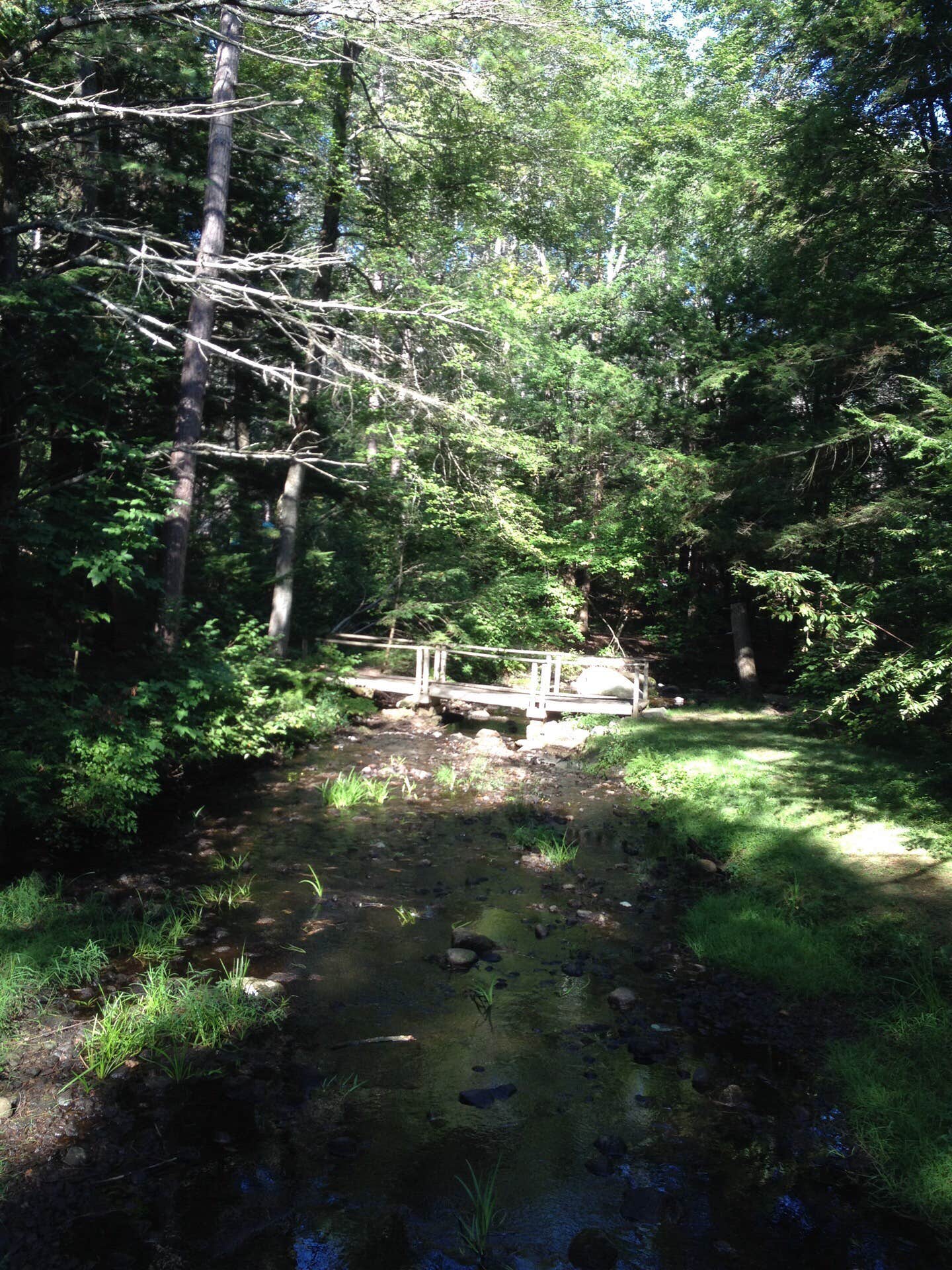 Camper submitted image from Otter River State Forest - 2