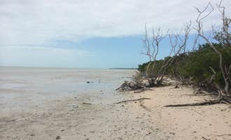Camping near Curry Hammock State Park Campground: Backcountry Clubhouse Beach — Everglades National Park, Everglades National Park, Florida