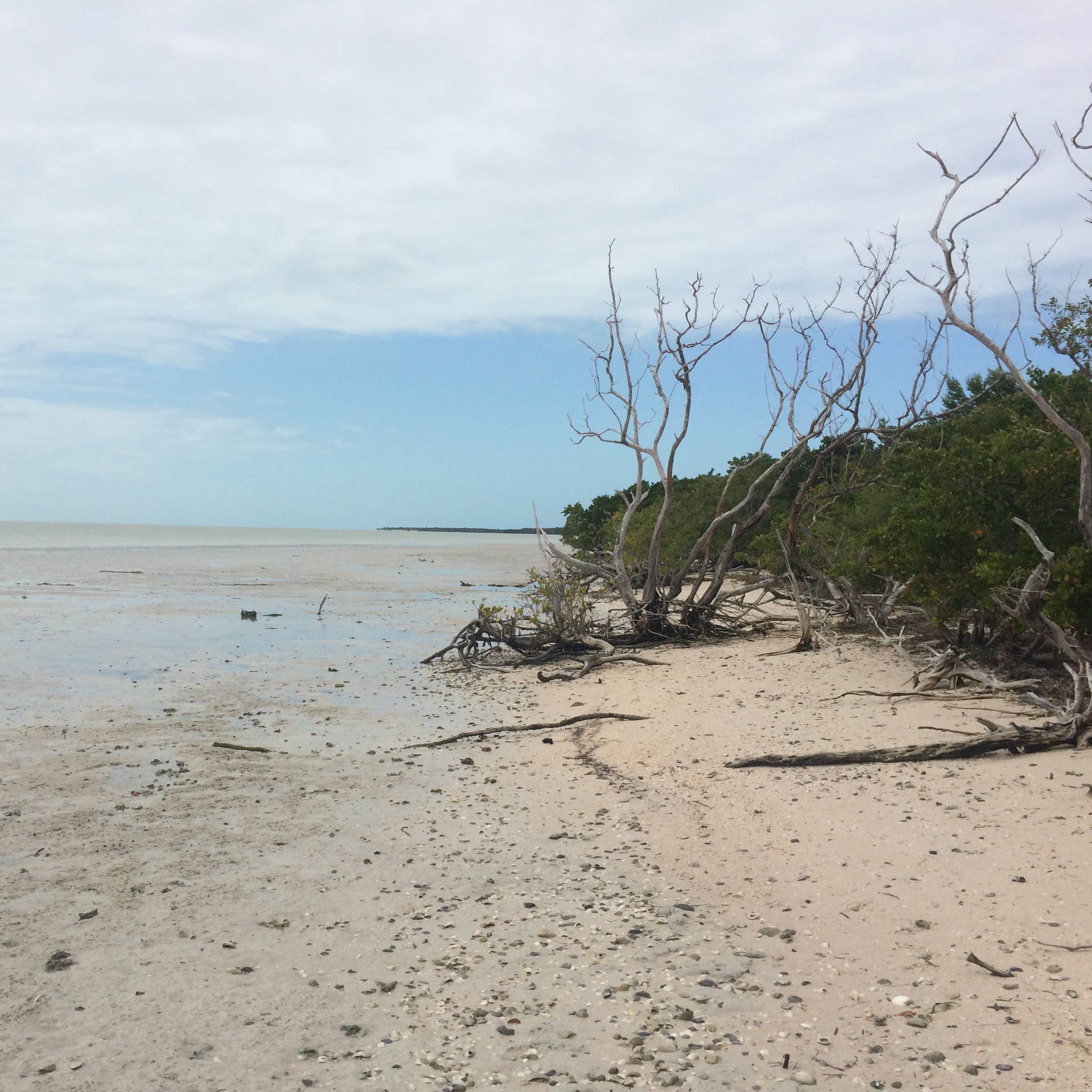 Backcountry Clubhouse Beach — Everglades National Park