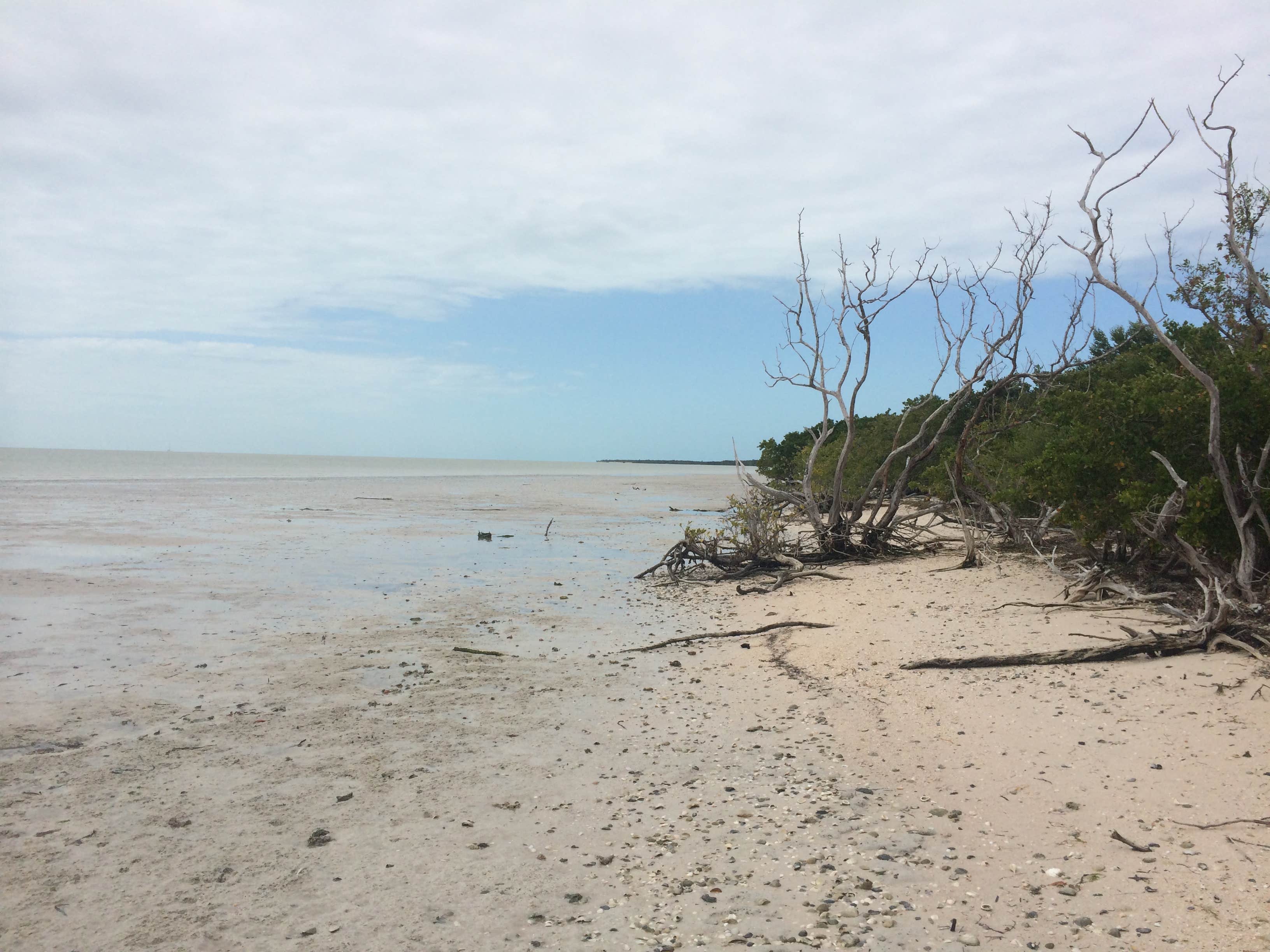 Camper submitted image from Backcountry Clubhouse Beach — Everglades National Park - 1