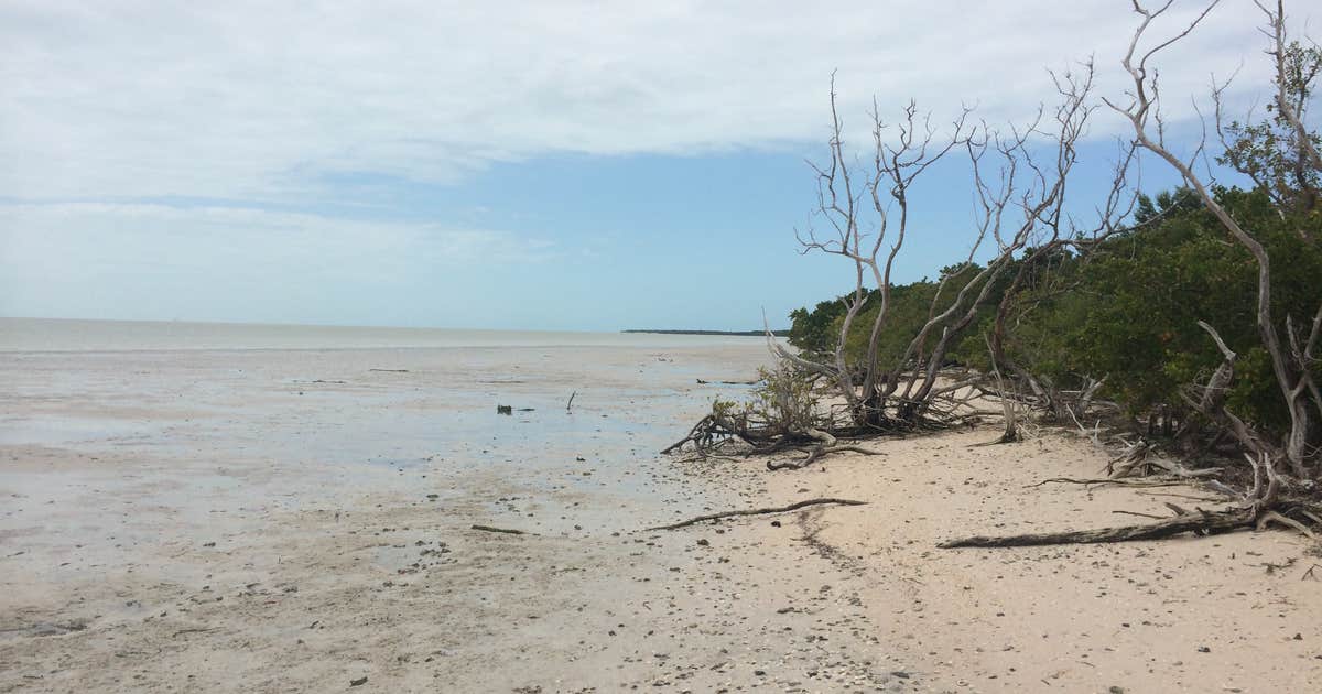 Backcountry Clubhouse Beach — Everglades National Park