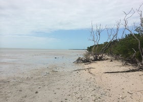 Backcountry Clubhouse Beach - Everglades National Park