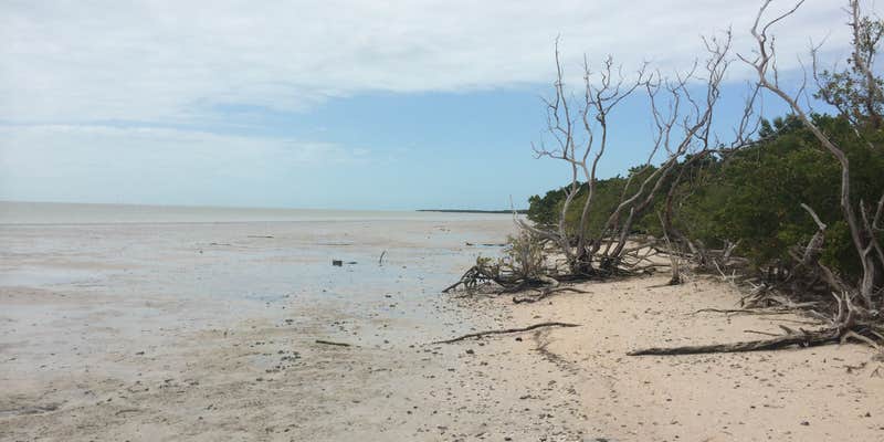 Camper submitted image from Backcountry Clubhouse Beach — Everglades National Park