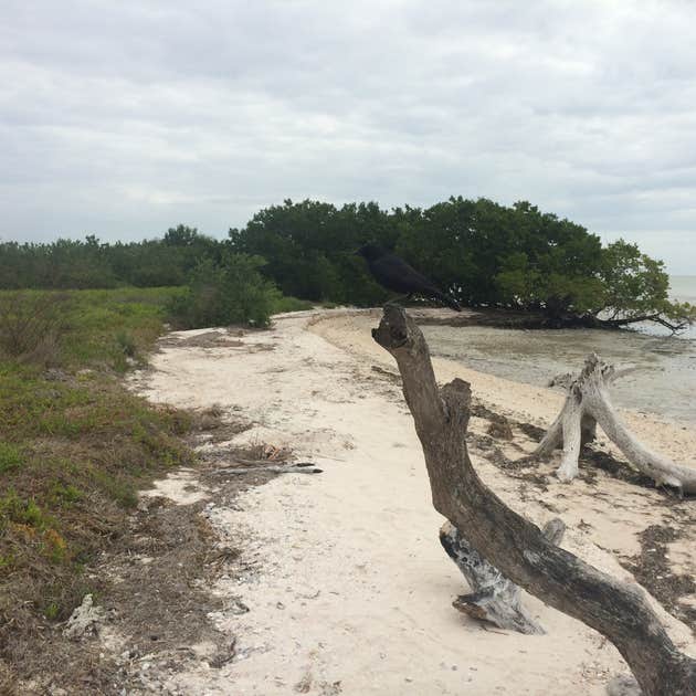 Backcountry Clubhouse Beach — Everglades National Park Camping 