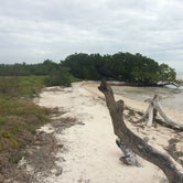 Review photo of Backcountry Clubhouse Beach — Everglades National Park by Bob S., February 3, 2021