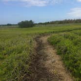 Review photo of Backcountry Clubhouse Beach — Everglades National Park by Bob S., February 3, 2021