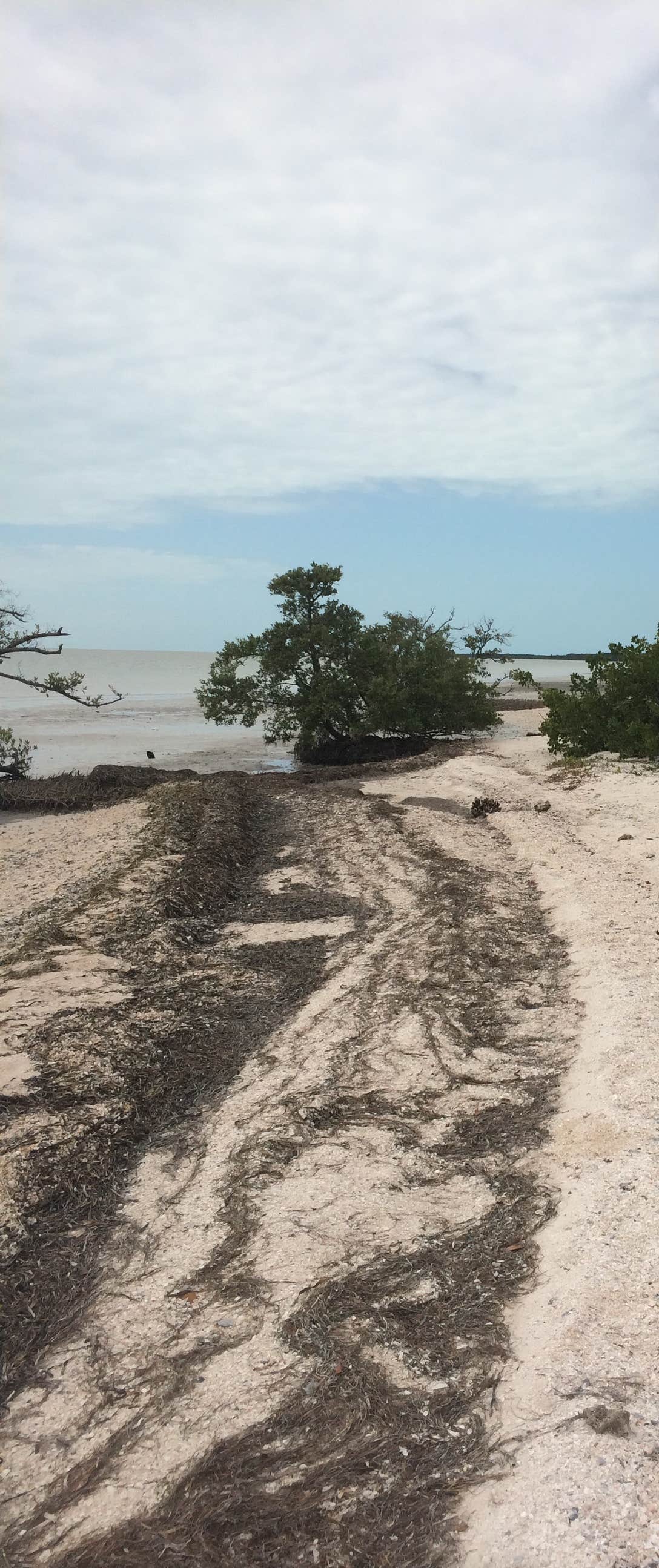 Camper submitted image from Backcountry Clubhouse Beach — Everglades National Park - 2