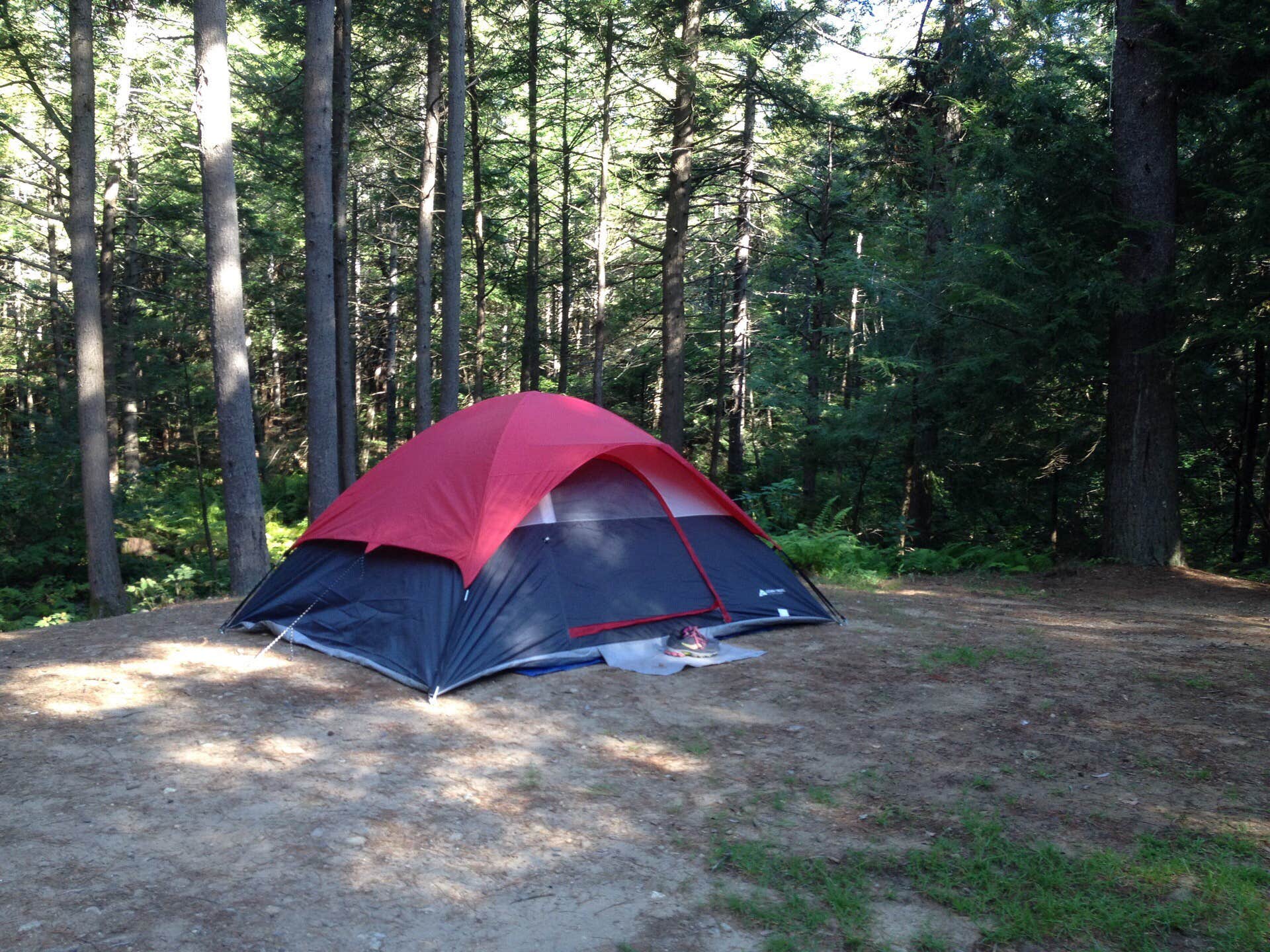 Rachel P.'s photo at Otter River State Forest near Wendell, MA