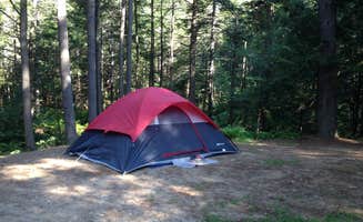 Rachel P.'s photo at Otter River State Forest near Westminster, MA