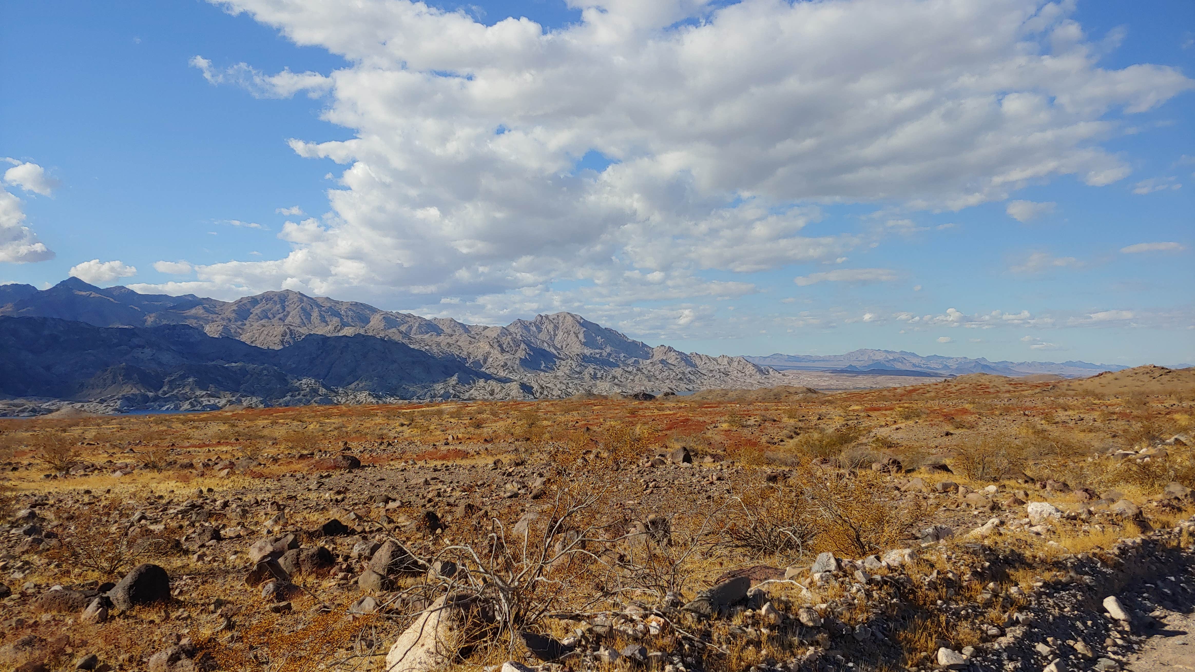 Camper submitted image from Arrowhead Cove — Lake Mead National Recreation Area - 3