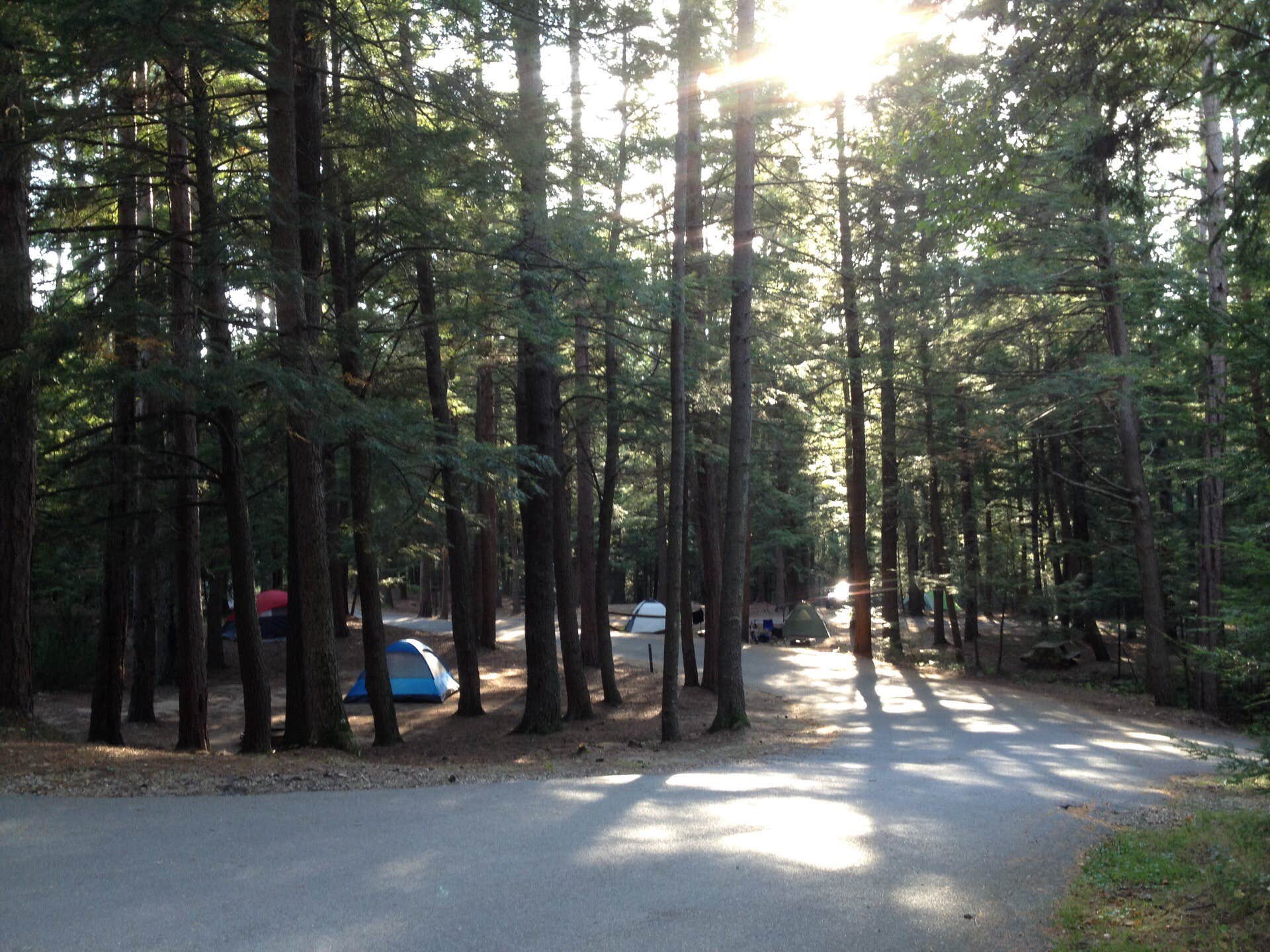 Camper-submitted photo at Otter River State Forest near Whately, MA