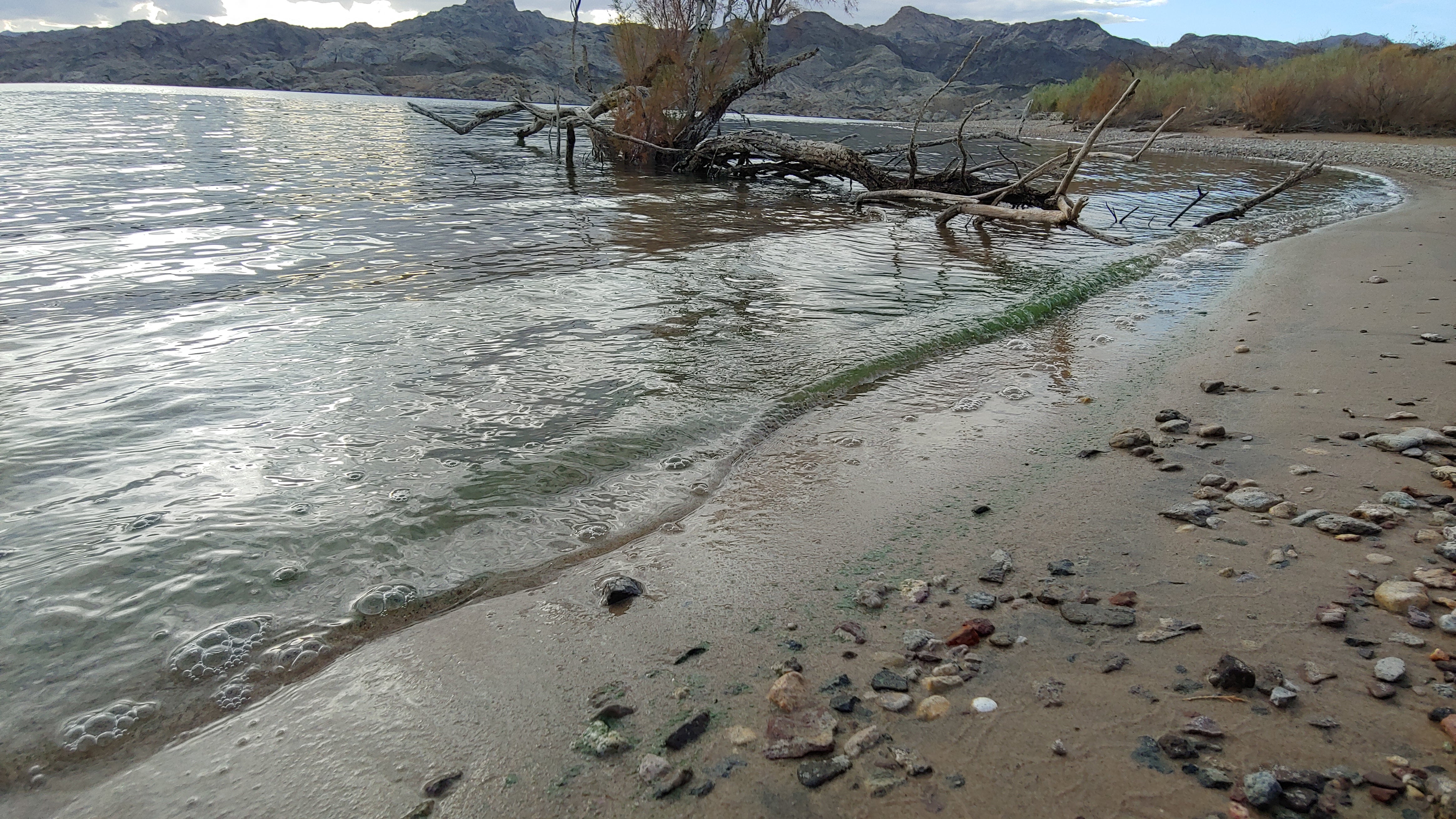 Camper submitted image from Arrowhead Cove — Lake Mead National Recreation Area - 4