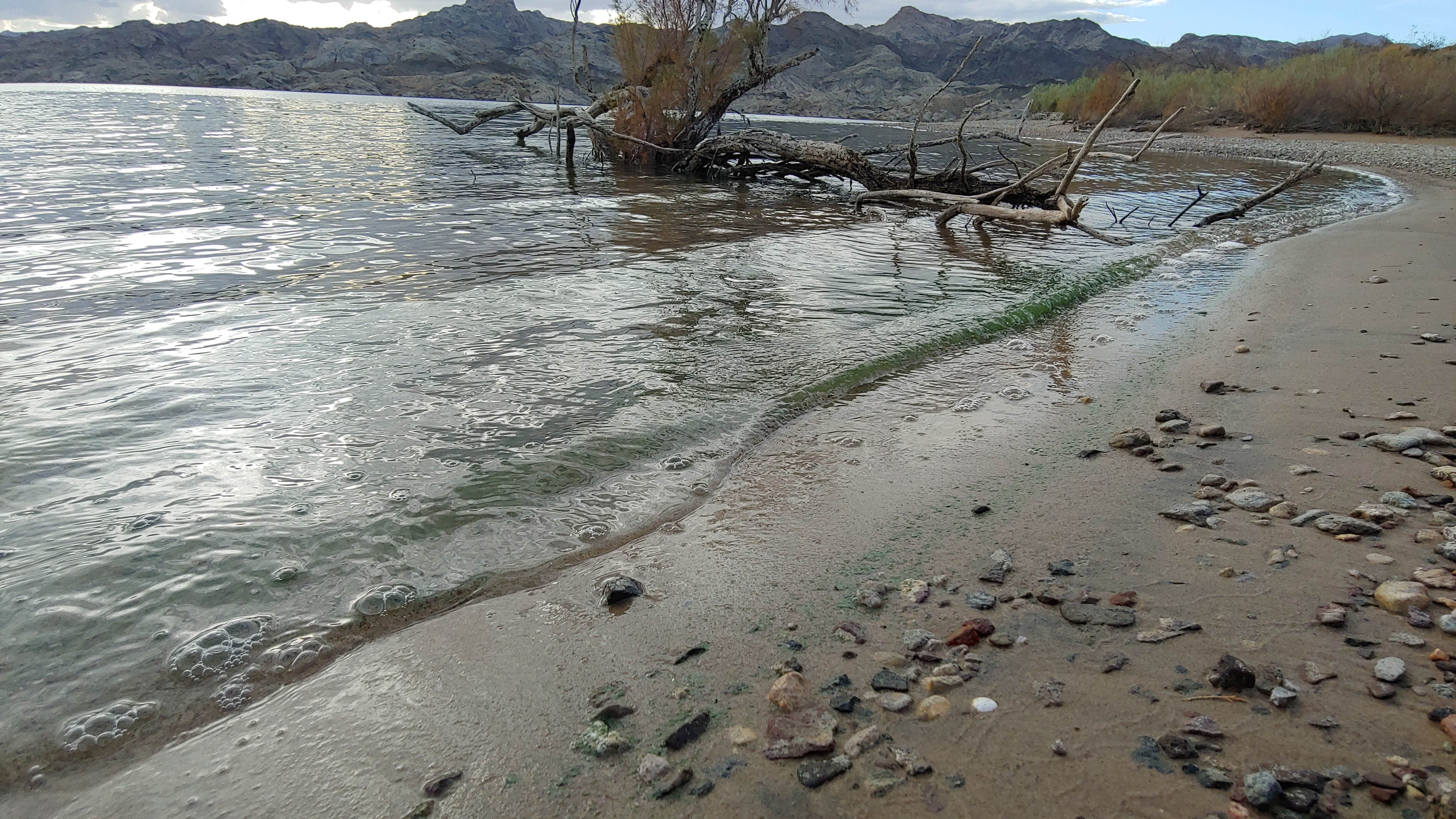 Camper submitted image from Arrowhead Cove — Lake Mead National Recreation Area - 4