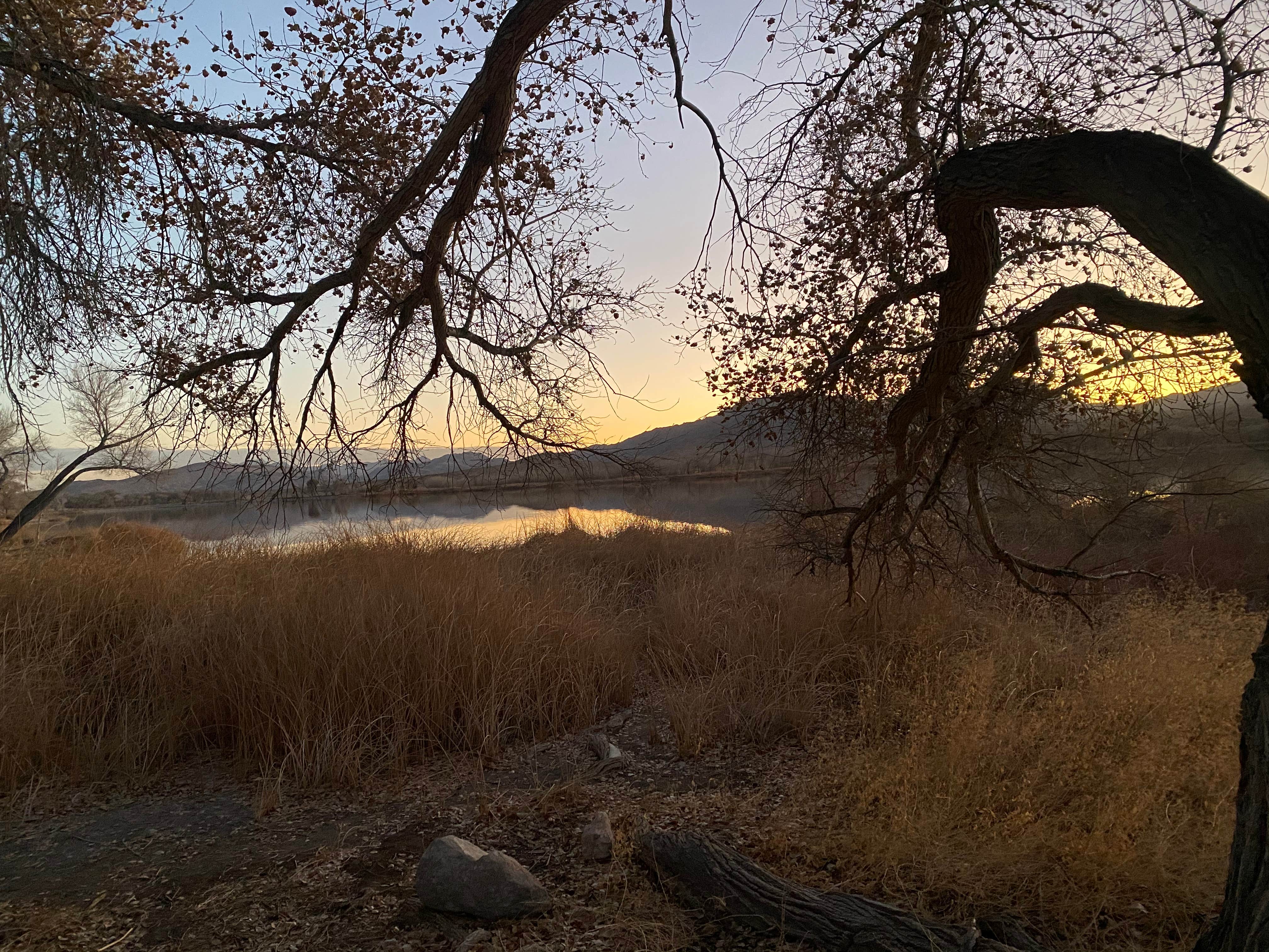 Camper-submitted photo at Upper Campground - Pahranagat National Wildlife Refuge in Nevada