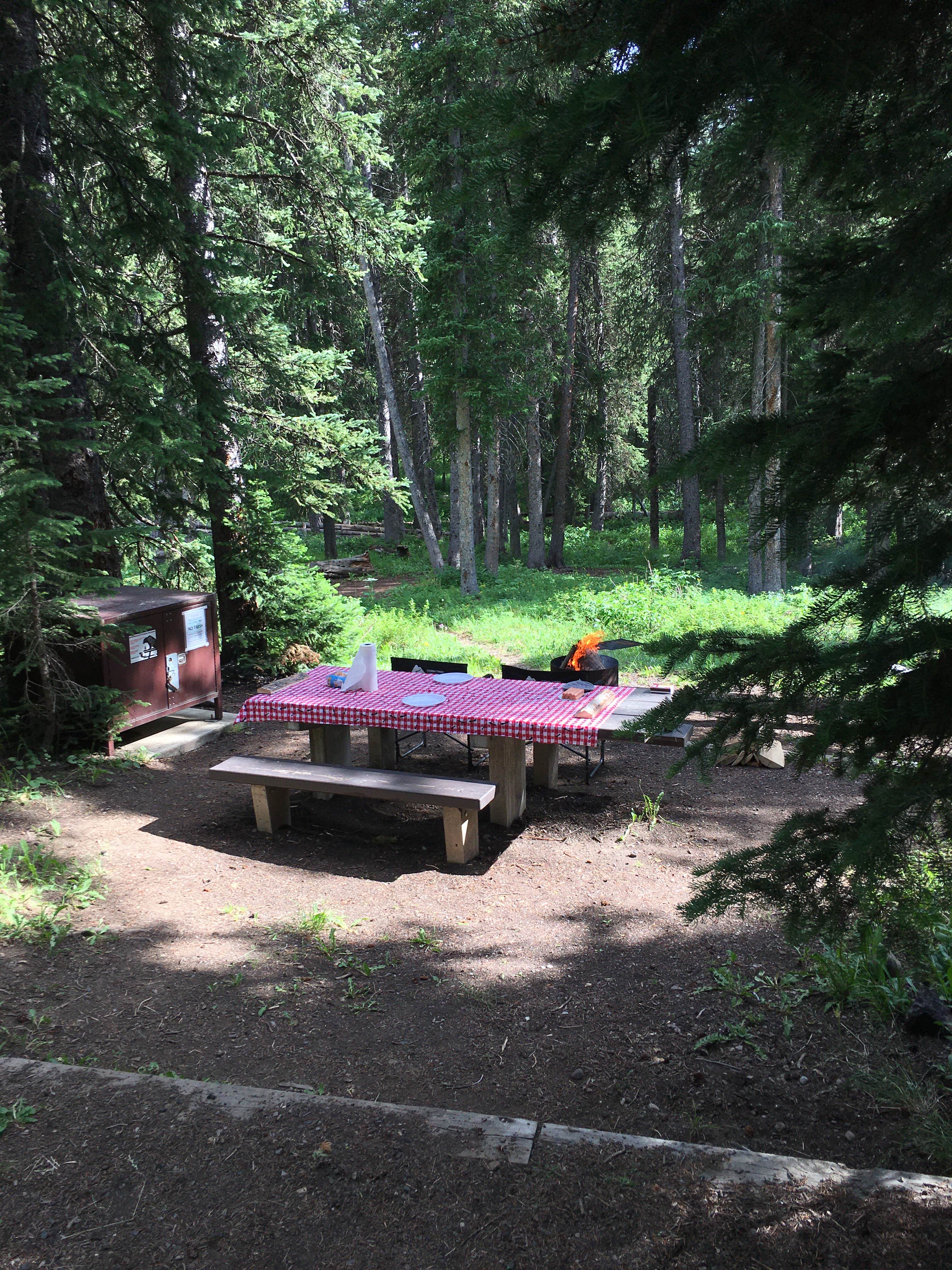 Camper-submitted photo at Soda Butte Campground near Cooke City, MT