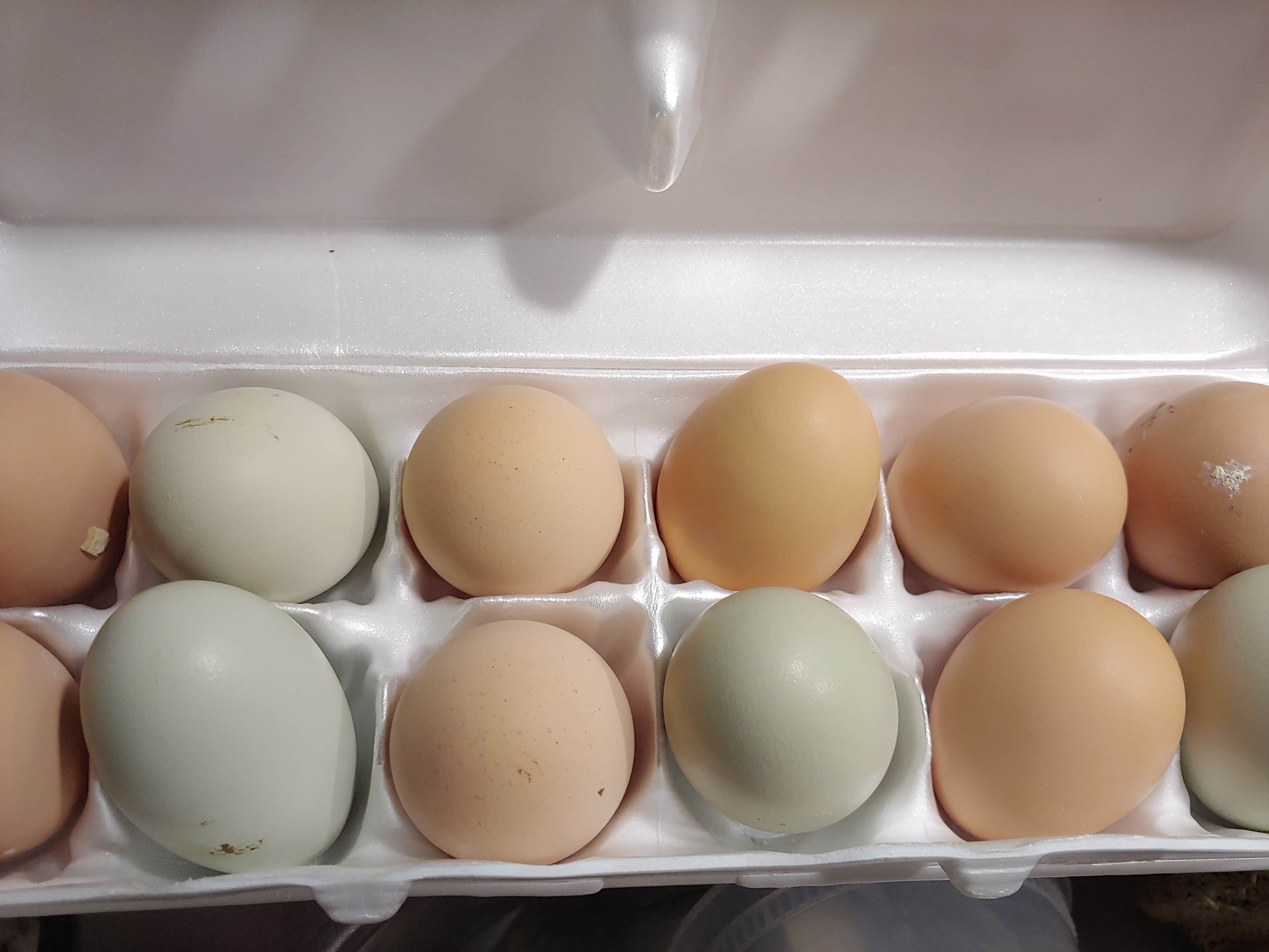 Camper-submitted photo at Salome KOA near Salome, AZ