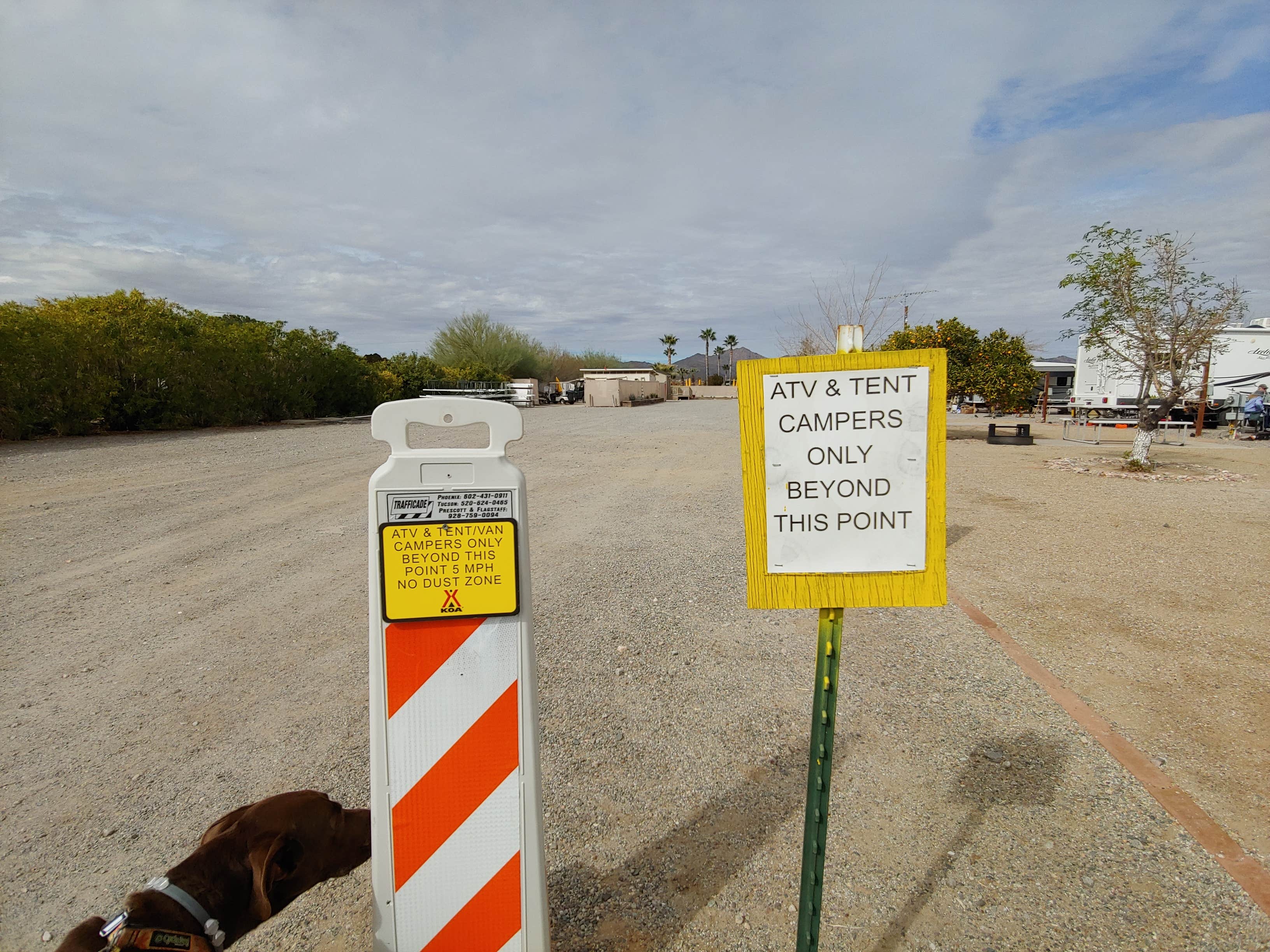 Laura M.'s photo of camping with pets at Salome KOA near Tonopah, AZ