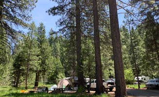 Andrea A.'s photo at Fraser Flat Campground near Stanislaus National Forest