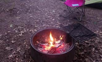 Camping near Boulder: Old Logging Trail — St. Croix State Park, Danbury, Minnesota