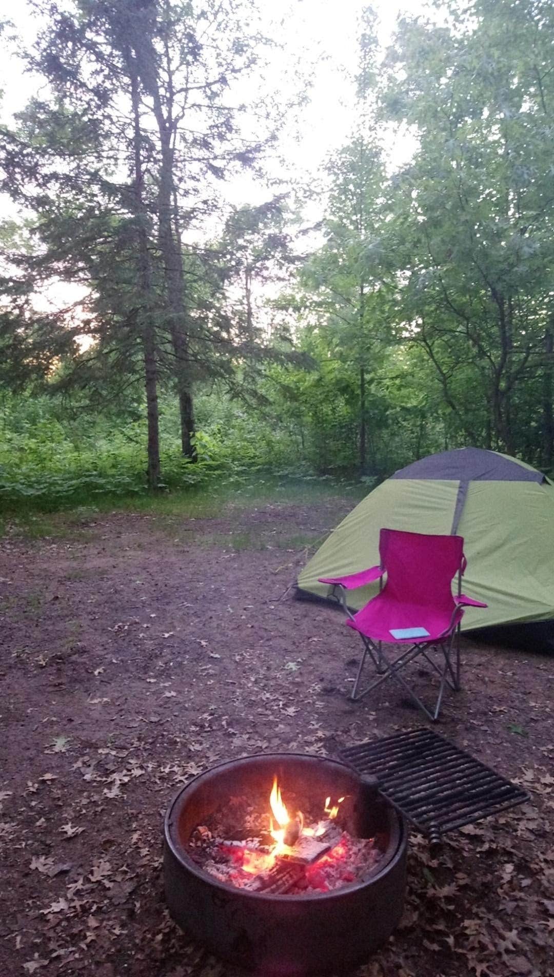 Camper submitted image from Old Logging Trail — St. Croix State Park - 1