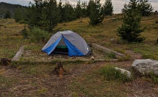 Natalee F.'s photo at Green Ridge Campground near Grand Lake, CO