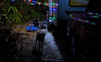 Jerry's photo of camping with pets at Fort Stevens State Park Campground near Astoria, OR