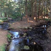 Review photo of Otter River State Forest by Rachel P., May 28, 2018