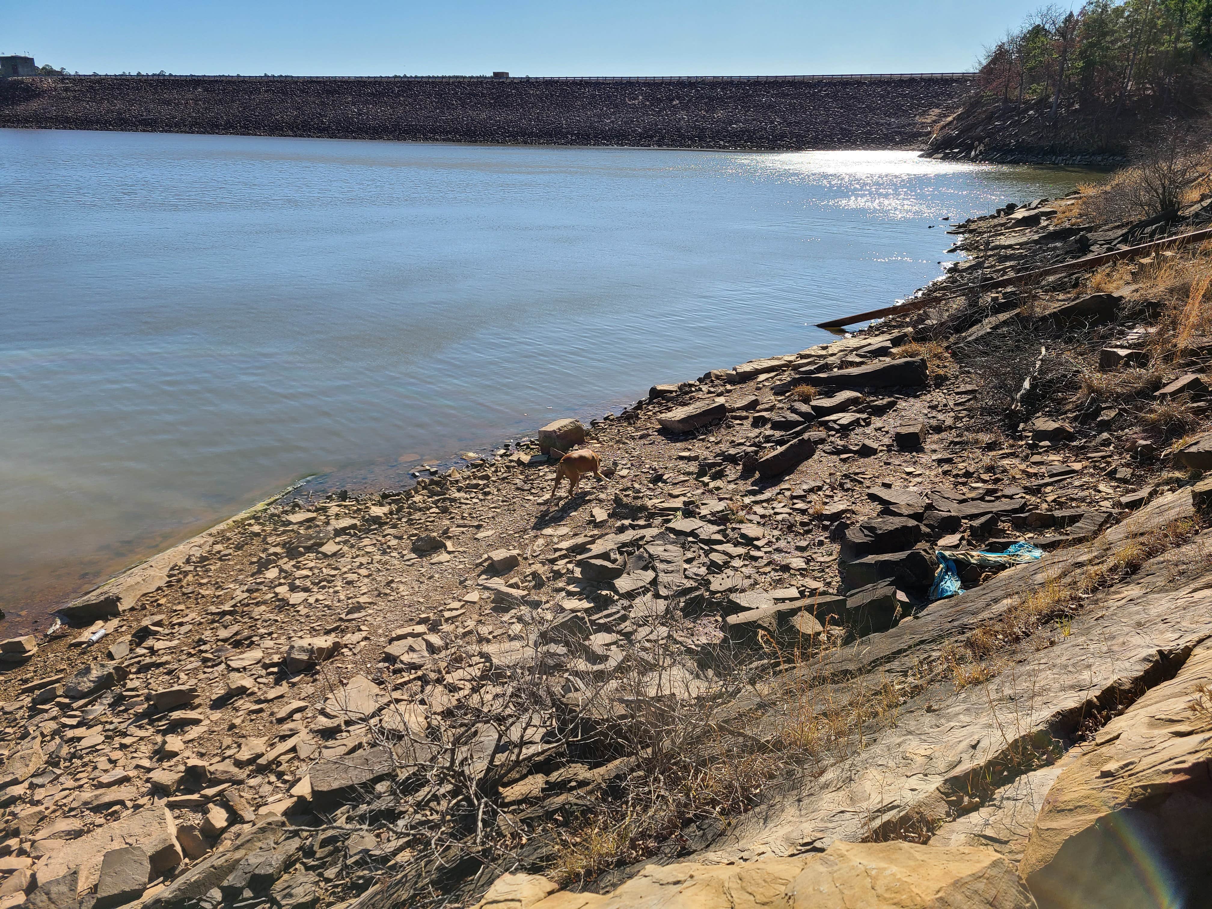 Camper-submitted photo at McGee Creek State Park Campground near Sardis Lake