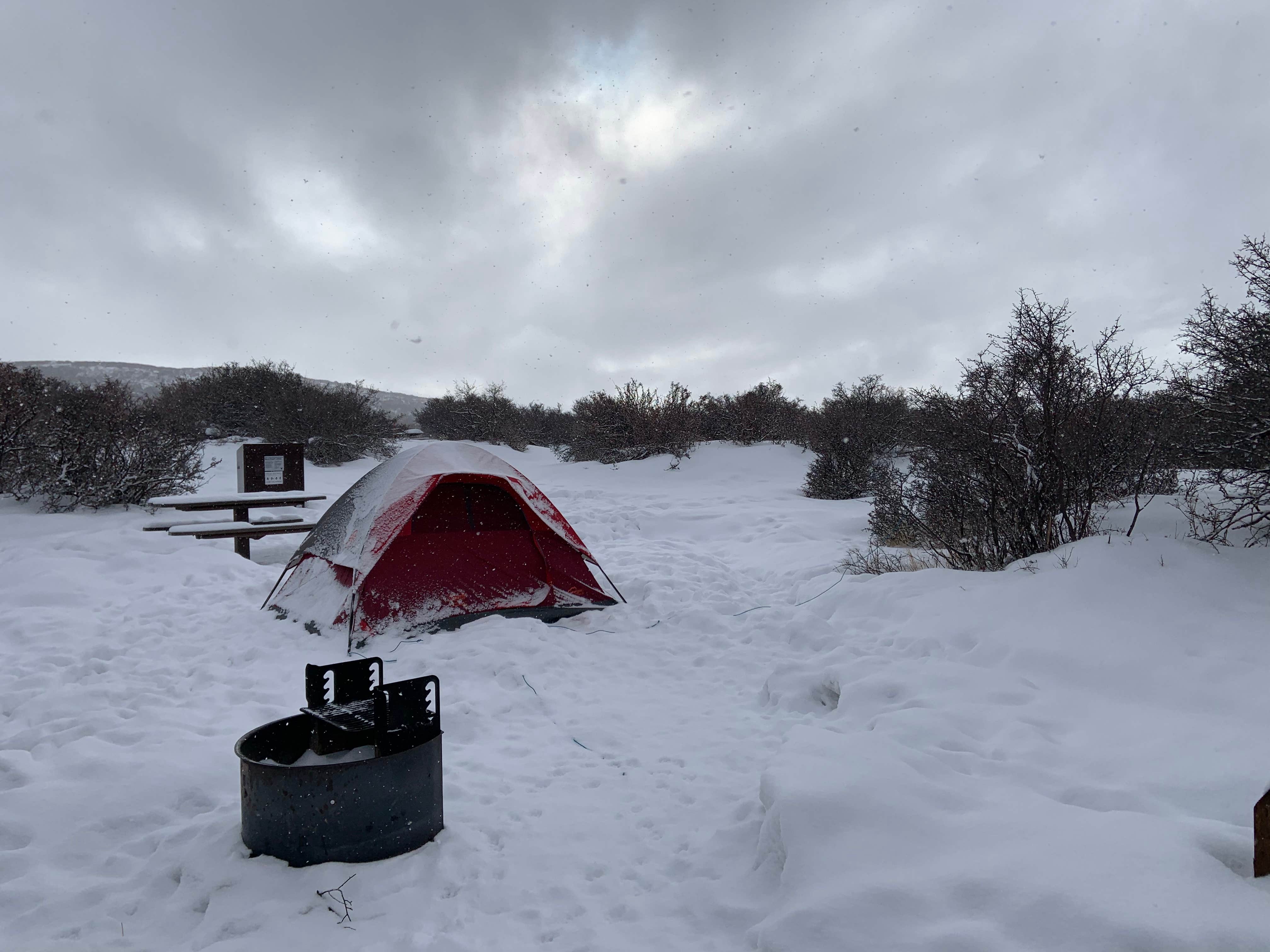 Maria D.'s photo at South Rim Campground — Black Canyon of the Gunnison National Park near Grand Mesa, Uncompahgre, and Gunnison National Forests