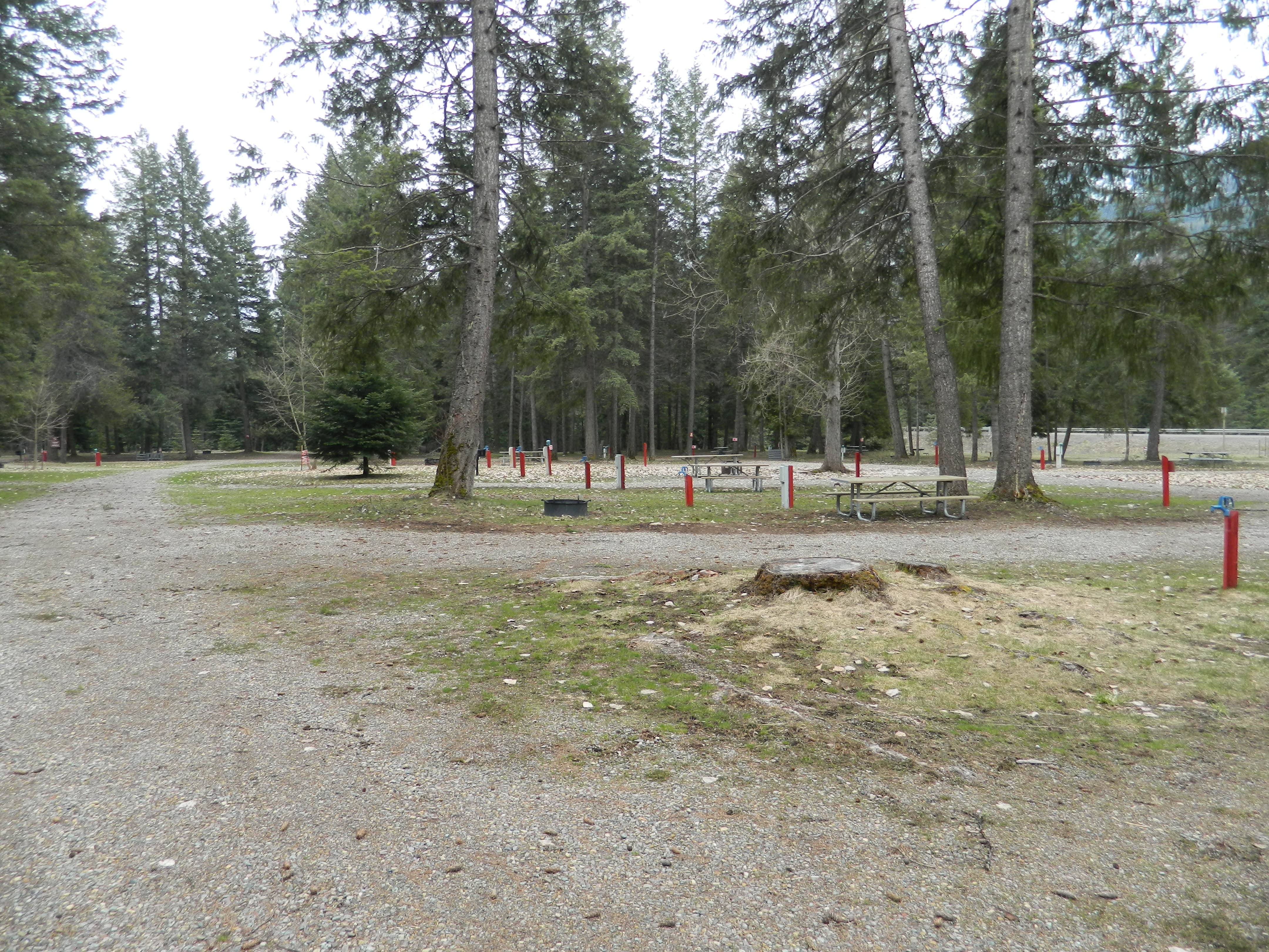 Camper submitted image from Kootenai River Campground - 2
