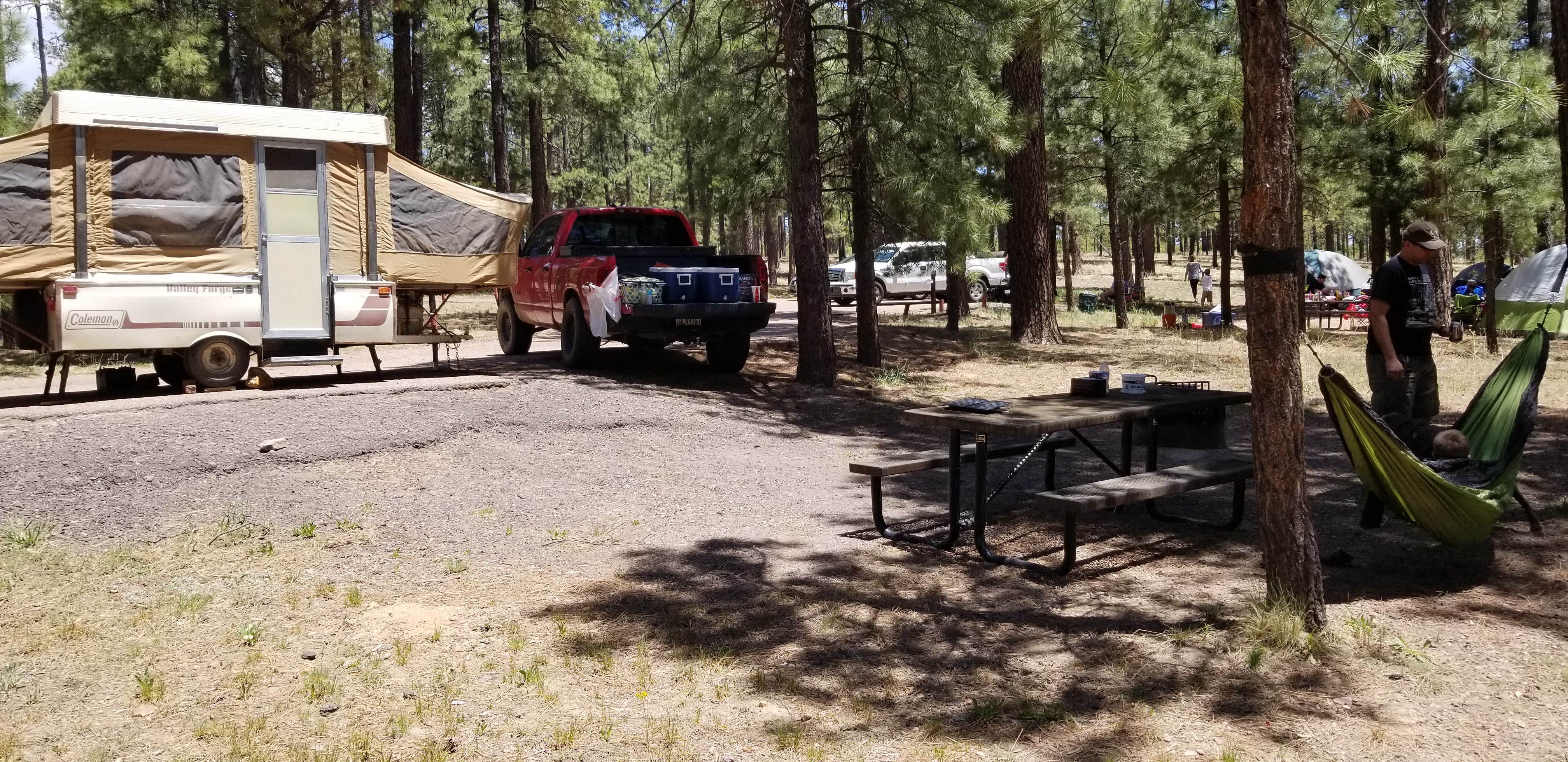 Krista Z.'s photo at Canyon Point near Clay Springs, AZ