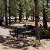 Review photo of Sitgreaves National Forest Canyon Point Campground by Krista Z., May 28, 2018