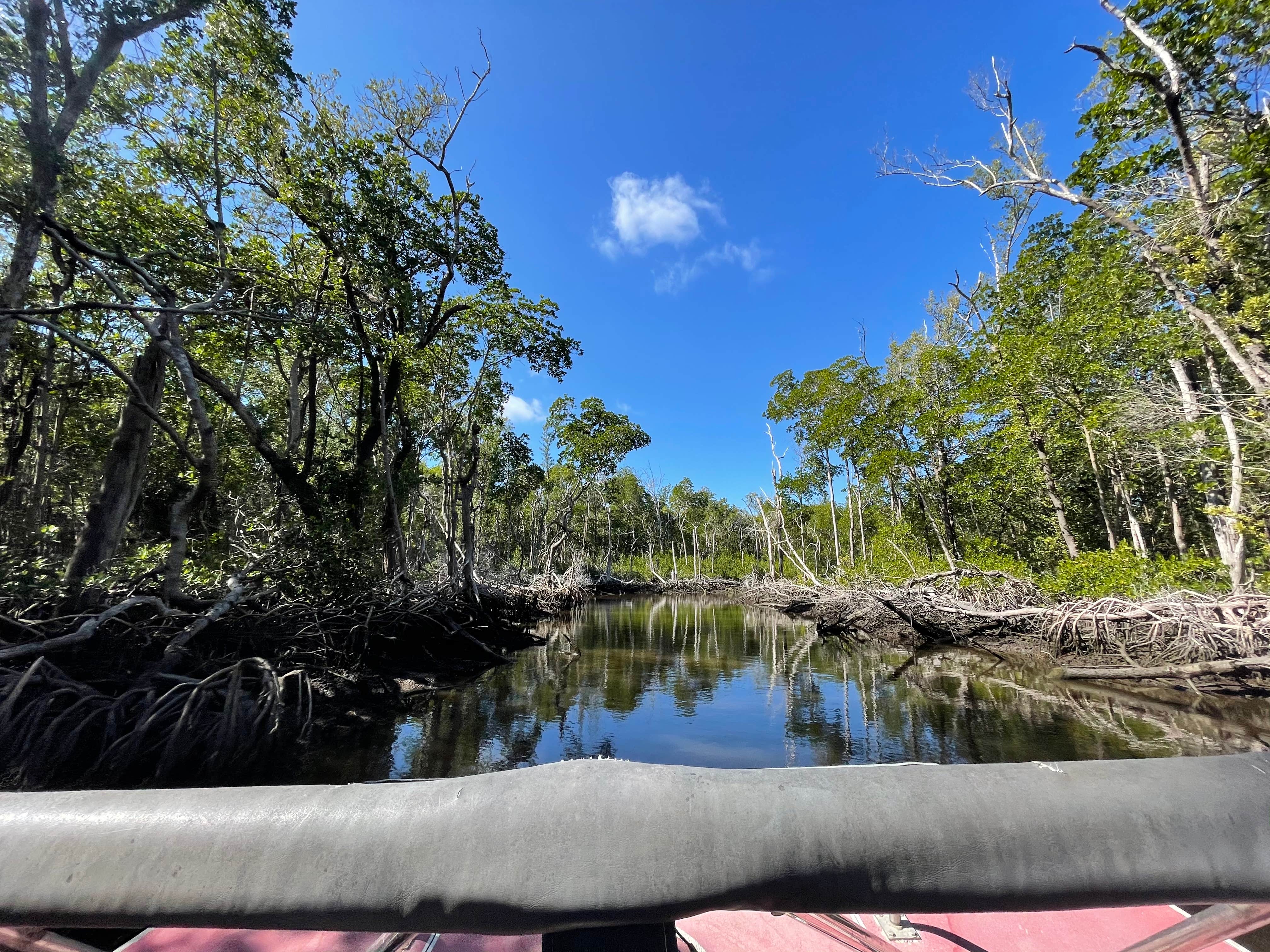 Camper submitted image from Everglades Isle Motorcoach Retreat - 4